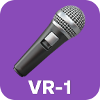 Voice recording 1 cue
