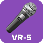 Voice recording 5 cue
